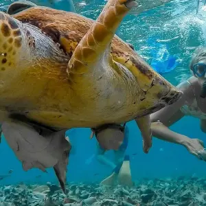 Explore Real Central America for 16 days with Intrepid Travel and discover unforgettable experiences - Photo 10