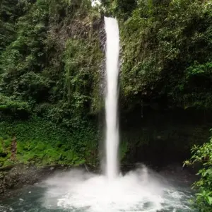 Explore Classic Costa Rica for 15 days with Intrepid Travel and discover unforgettable experiences - Photo 5