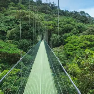 Explore Classic Costa Rica for 15 days with Intrepid Travel and discover unforgettable experiences - Photo 6