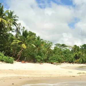 Explore Classic Costa Rica for 15 days with Intrepid Travel and discover unforgettable experiences - Photo 8