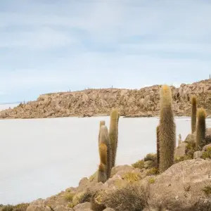 Explore Bolivia Highlights for 11 days with Intrepid Travel and discover unforgettable experiences - Photo 7
