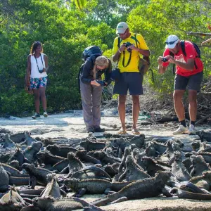 Explore Galapagos & Inca Trail Adventure (33 destinations) for 17 days with Intrepid Travel and discover unforgettable experiences - Photo 7