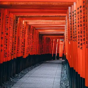 Explore Essential Japan for 10 days with Intrepid Travel and discover unforgettable experiences - Photo 9