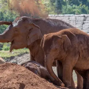 Explore One Week in Thailand: Kayaking and Hilltribes for 8 days with Intrepid Travel and discover unforgettable experiences - Photo 2