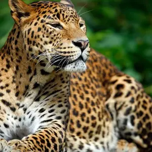 Explore Cycle Sri Lanka (14 destinations) for 14 days with Intrepid Travel and discover unforgettable experiences - Photo 3