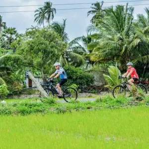 Explore Cycle Sri Lanka (14 destinations) for 14 days with Intrepid Travel and discover unforgettable experiences - Photo 5