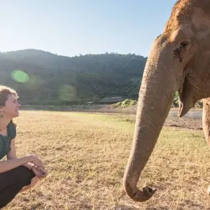 Explore Thailand & Laos Adventure for 13 days with Intrepid Travel and discover unforgettable experiences - Photo 2