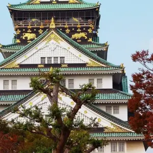 Explore Japan Real Food Adventure for 11 days with Intrepid Travel and discover unforgettable experiences - Photo 8