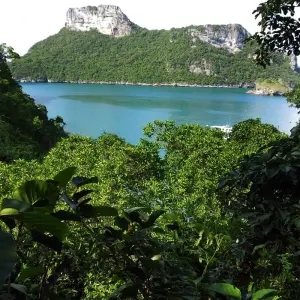 Explore Essential Southern Thailand for 8 days with Intrepid Travel and discover unforgettable experiences - Photo 11