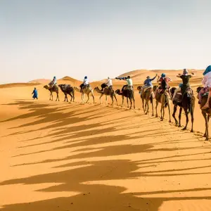 Explore Classic Morocco			 (14 destinations) for 8 days with Intrepid Travel and discover unforgettable experiences - Photo 5