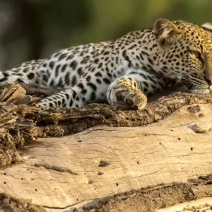 Explore Classic East Africa for 13 days with Intrepid Travel and discover unforgettable experiences - Photo 6