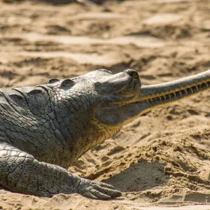 Explore Delhi to Kathmandu for 15 days with Intrepid Travel and discover unforgettable experiences - Photo 2