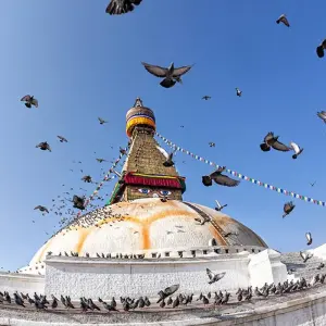 Explore Delhi to Kathmandu for 15 days with Intrepid Travel and discover unforgettable experiences - Photo 11