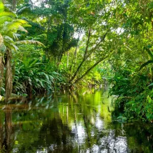 Explore Ecuador Highlands for 9 days with Intrepid Travel and discover unforgettable experiences - Photo 7