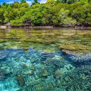 Explore Indonesia Expedition: Orangutans of Kalimantan for 12 days with Intrepid Travel and discover unforgettable experiences - Photo 5