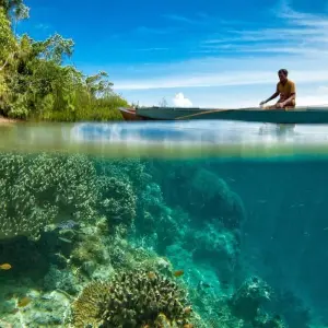 Explore Indonesia Expedition: Orangutans of Kalimantan for 12 days with Intrepid Travel and discover unforgettable experiences - Photo 6