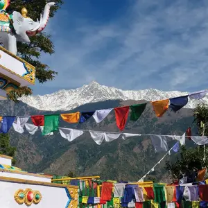 Explore Mountains & Mystics of India (including New Delhi) for 13 days with Intrepid Travel and discover unforgettable experiences - Photo 9