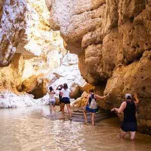 Explore Cape Town to Vic Falls for 22 days with Intrepid Travel and discover unforgettable experiences - Photo 5