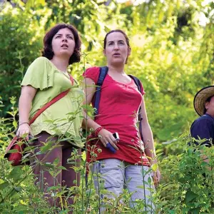 Explore Classic Borneo (from Sandakan to Kota Kinabalu) for 10 days with Intrepid Travel and discover unforgettable experiences - Photo 3