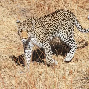 Explore Cape Town to Zanzibar for 41 days with Intrepid Travel and discover unforgettable experiences - Photo 8