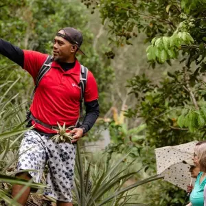 Explore Classic Borneo (from Sandakan to Kota Kinabalu) for 10 days with Intrepid Travel and discover unforgettable experiences - Photo 9