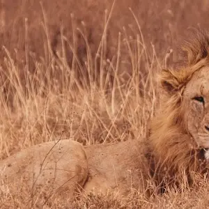 Explore Zanzibar to Nairobi (from Stonetown to Nairobi) for 12 days with Intrepid Travel and discover unforgettable experiences - Photo 2