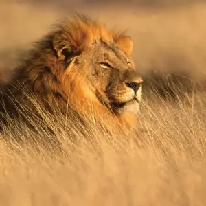 Explore Cape Town to Zanzibar for 41 days with Intrepid Travel and discover unforgettable experiences - Photo 10
