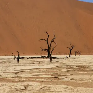 Explore Cape Town to Kenya for 49 days with Intrepid Travel and discover unforgettable experiences - Photo 6