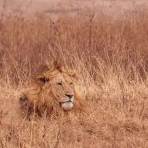 Explore Road to Zanzibar (9 destinations) for 12 days with Intrepid Travel and discover unforgettable experiences - Photo 2