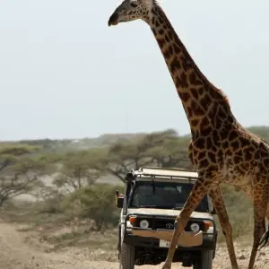 Explore Zanzibar to Nairobi (from Stonetown to Nairobi) for 12 days with Intrepid Travel and discover unforgettable experiences - Photo 9