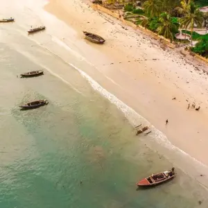 Explore Zanzibar to Nairobi (from Stonetown to Nairobi) for 12 days with Intrepid Travel and discover unforgettable experiences - Photo 10