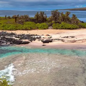Explore Galapagos at a Glance: Southern Islands (Grand Daphne) for 6 days with Intrepid Travel and discover unforgettable experiences - Photo 3