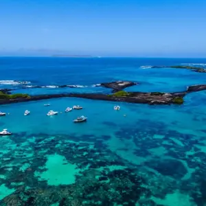 Explore Galapagos at a Glance: Southern Islands (Grand Daphne) for 6 days with Intrepid Travel and discover unforgettable experiences - Photo 7