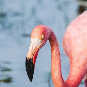 Explore Complete Galapagos (Grand Daphne) for 10 days with Intrepid Travel and discover unforgettable experiences - Photo 8