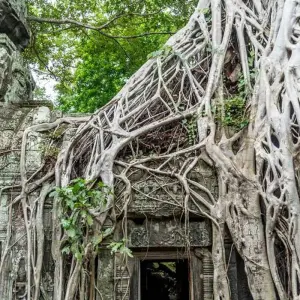 Explore Classic Cambodia for 6 days with Intrepid Travel and discover unforgettable experiences - Photo 3