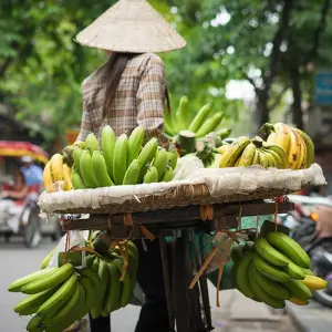 Explore Treasures of Vietnam for 8 days with Intrepid Travel and discover unforgettable experiences - Photo 9