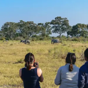 Explore Real Southern Africa (13 destinations) for 17 days with Intrepid Travel and discover unforgettable experiences - Photo 2