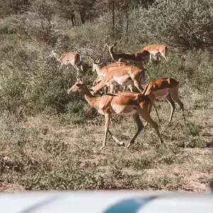 Explore Real Southern Africa (13 destinations) for 17 days with Intrepid Travel and discover unforgettable experiences - Photo 4