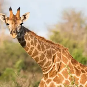 Explore Real Southern Africa (13 destinations) for 17 days with Intrepid Travel and discover unforgettable experiences - Photo 8