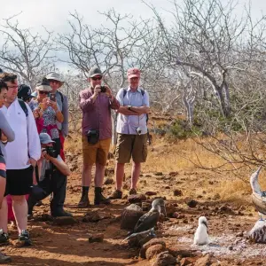Explore Galapagos Adventure: Northern Islands (Grand Daphne) for 7 days with Intrepid Travel and discover unforgettable experiences - Photo 6