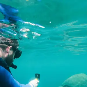 Explore Galapagos Adventure: Northern Islands (Grand Daphne) for 7 days with Intrepid Travel and discover unforgettable experiences - Photo 8