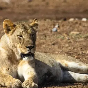 Explore Essential Botswana for 9 days with Intrepid Travel and discover unforgettable experiences - Photo 9