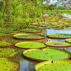 Explore Explore Peru & Bolivia (including Uyuni Salt Flat) for 25 days with Intrepid Travel and discover unforgettable experiences - Photo 3