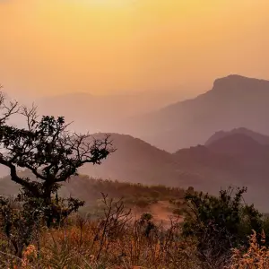 Explore India Safari for 12 days with Intrepid Travel and discover unforgettable experiences - Photo 2