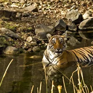 Explore India Safari for 12 days with Intrepid Travel and discover unforgettable experiences - Photo 5