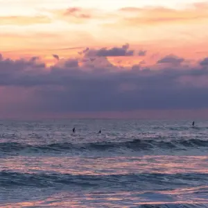 Explore One Week In Costa Rica (7 destinations) for 8 days with Intrepid Travel and discover unforgettable experiences - Photo 5