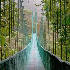 Explore One Week In Costa Rica (7 destinations) for 8 days with Intrepid Travel and discover unforgettable experiences - Photo 7