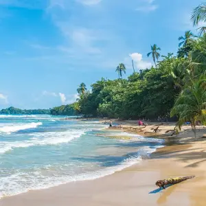 Explore One Week In Costa Rica (7 destinations) for 8 days with Intrepid Travel and discover unforgettable experiences - Photo 8