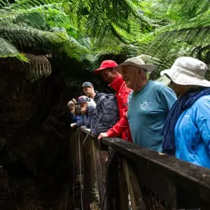 Explore Tasmania Adventure (including Dove Lake) for 6 days with Intrepid Travel and discover unforgettable experiences - Photo 4