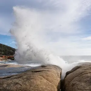 Explore Tasmania Adventure (including Dove Lake) for 6 days with Intrepid Travel and discover unforgettable experiences - Photo 5